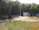 mcglynn s bachelor party 5 25 24  