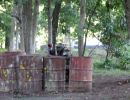 mclellan paintball  8 30 25  