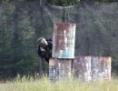 mclellan paintball  8 30 25  