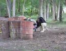 mclellan paintball  8 30 25  