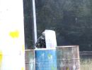 mclellan paintball  8 30 25  