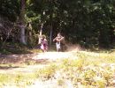 michael s bachelor party 7 18 25  