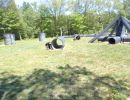 paintball predators 8 2 24  
