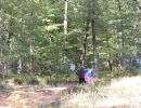 parker s bachelor park 9 6 24  