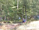 parker s bachelor park 9 6 24  