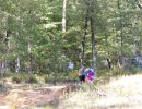 parker s bachelor park 9 6 24  