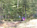 parker s bachelor park 9 6 24  
