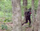 paul s paintball squad  6 12 25  