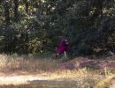 peter s bachelor party  9 5 25  