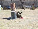 petro s bachelor party  4 26 25  