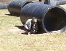 petro s bachelor party  4 26 25  