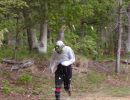 pierce s bachelor party  5 17 25  