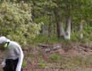 pierce s bachelor party  5 17 25  