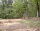 pierce s bachelor party  5 17 25  