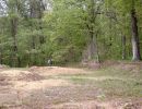 pierce s bachelor party  5 17 25  