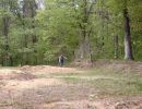 pierce s bachelor party  5 17 25  