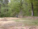 pierce s bachelor party  5 17 25  