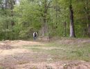 pierce s bachelor party  5 17 25  