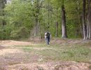 pierce s bachelor party  5 17 25  