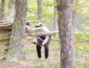 pierce s bachelor party  5 17 25  