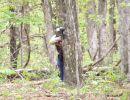 pierce s bachelor party  5 17 25  