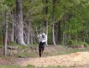 pierce s bachelor party  5 17 25  