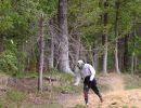 pierce s bachelor party  5 17 25  