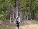 pierce s bachelor party  5 17 25  