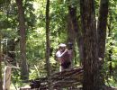 ramie s bachelor party 7 4 25  