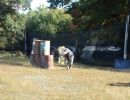 ronning bachelor party  9 13 25  