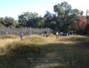 ronning bachelor party  9 13 25  