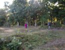 ronning bachelor party  9 13 25  