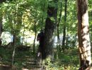 ronning bachelor party  9 13 25  