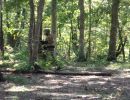 ronning bachelor party  9 13 25  