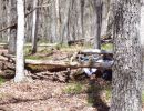 ryan s bachelor party  5.10  