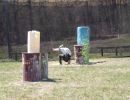 ryan s bachelor party  5.10  