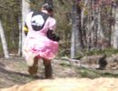 ryan s bachelor party  5.10  