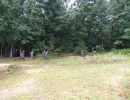 ryan s bachelor party  8 9 25  