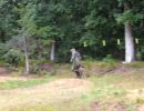 ryan s bachelor party  8 9 25  