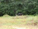 ryan s bachelor party  8 9 25  