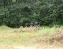 ryan s bachelor party  8 9 25  