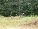 ryan s bachelor party  8 9 25  