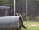 sam s friends and family paintball gathering 5 24 24  