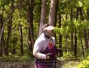 taylor s bachelor party  5 24 25  