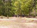 taylor s bachelor party  5 24 25  