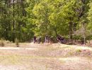 taylor s bachelor party  5 24 25  