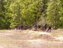taylor s bachelor party  5 24 25  
