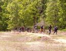 taylor s bachelor party  5 24 25  
