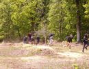 taylor s bachelor party  5 24 25  