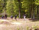 taylor s bachelor party  5 24 25  